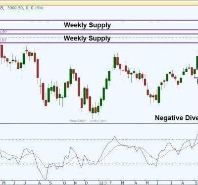 Market Observations