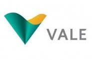 Big Call Spreads Trade in VALE
