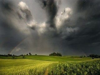 Apparently Rain Really Does Make Grain