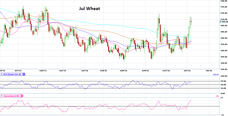 JUL WHEAT