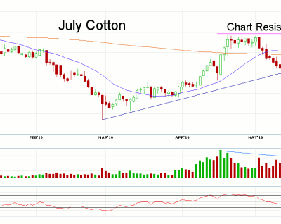 Cotton Prices Rally But Is A Hard Fall Coming?