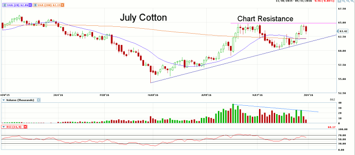 July Cotton
